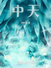 中天影业