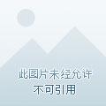 逆天兽妃绝色炼丹师的男主是谁