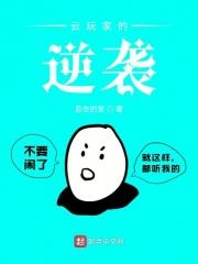 云玩家是什么东西